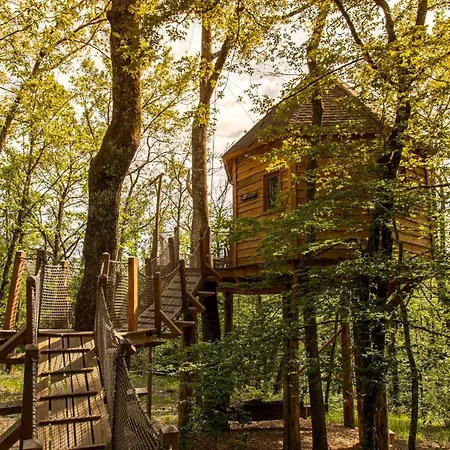 Dans Les Arbres Avec Lot Et Dordogne Lamothe-Fenelon