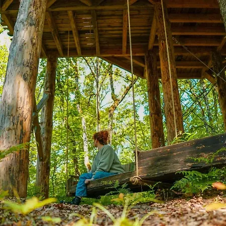 Dans Les Arbres Avec Lot Et Dordogne Lodge